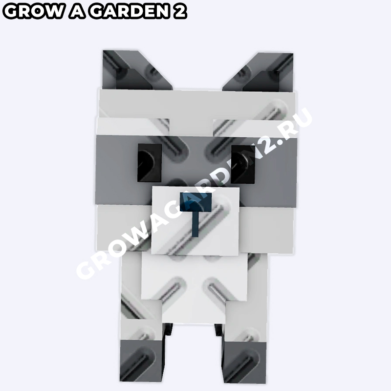 raccoonL