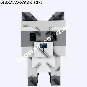 raccoonR