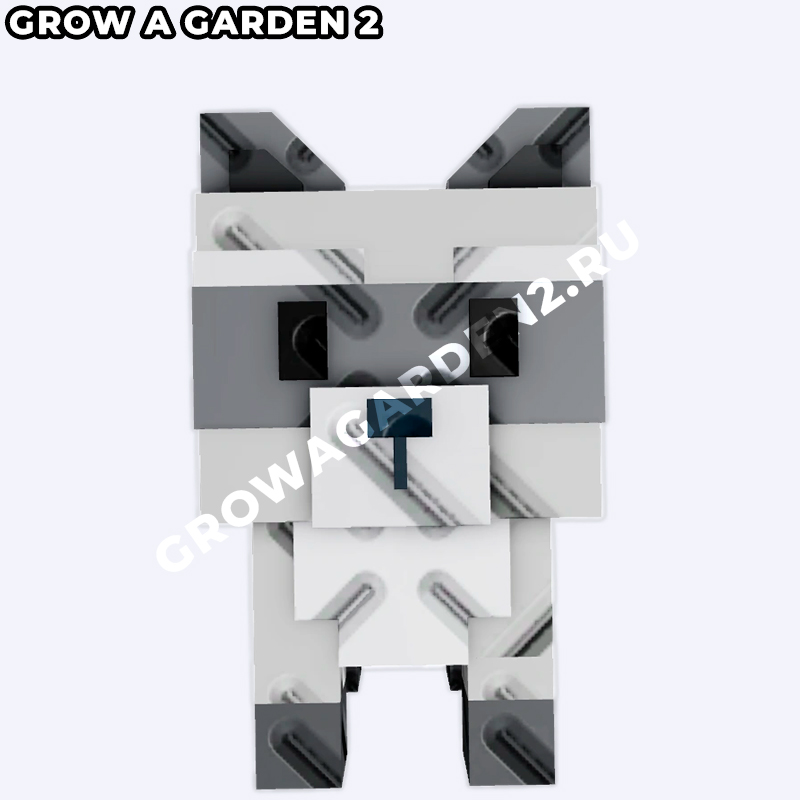raccoonR